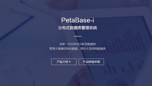 分布式數據庫管理系統 構建現代數據架構的核心引擎